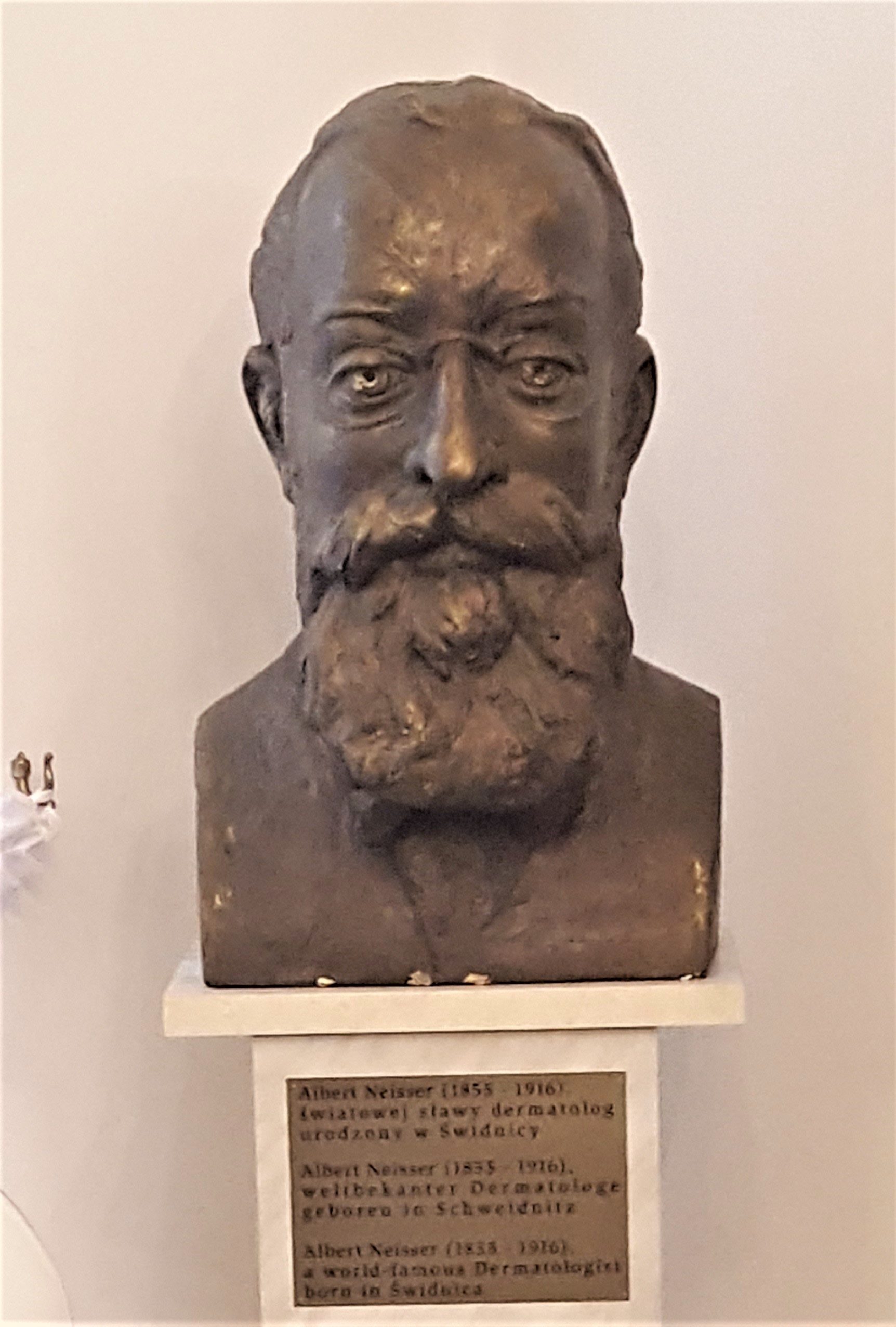Albert Neisser's bust, Swidnica (by Magdalena Mazurak) (4).jpg